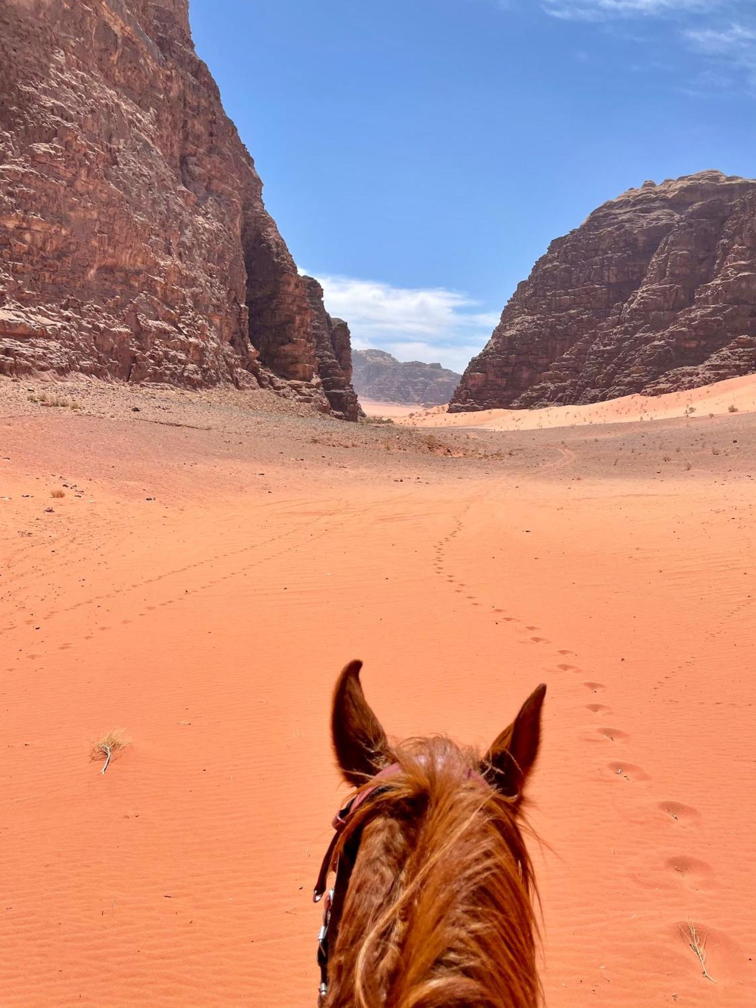 Salameh'S Bedouin Camp Hotel Wadi Rum Buitenkant foto