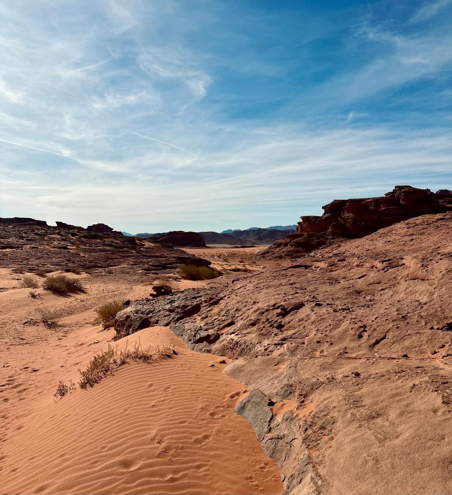 Salameh'S Bedouin Camp Hotel Wadi Rum Buitenkant foto